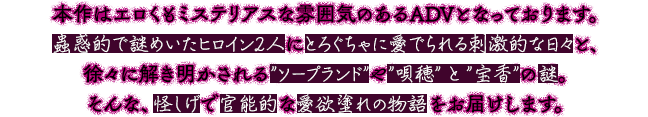 本作はエロくもミステリアスな雰囲気のあるADVとなっております。蟲惑的で謎めいたヒロイン2人にとろぐちゃに愛でられる刺激的な日々と、徐々に解き明かされる”ソープランド”や”はっしゃくさま”の謎。そんな、怪しげで官能的な愛欲塗れの物語をお届けします。